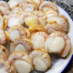 SFSH40053 [JBOILED HOTATE-L] BOILED HOTATE SIZE : L