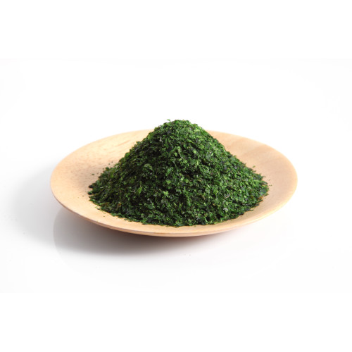 JF10023 [AO-NORI-KO] AO NORI KO