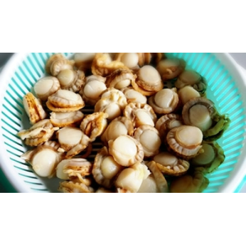 SFSH40040 [BOILED HOTATE/R/M] BOILED HOTATE-REPACKING -M