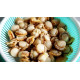 SFSH40040 [BOILED HOTATE/R/M] BOILED HOTATE-REPACKING -M